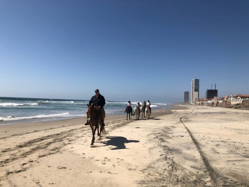 Horse riding tour in Rosarito beach