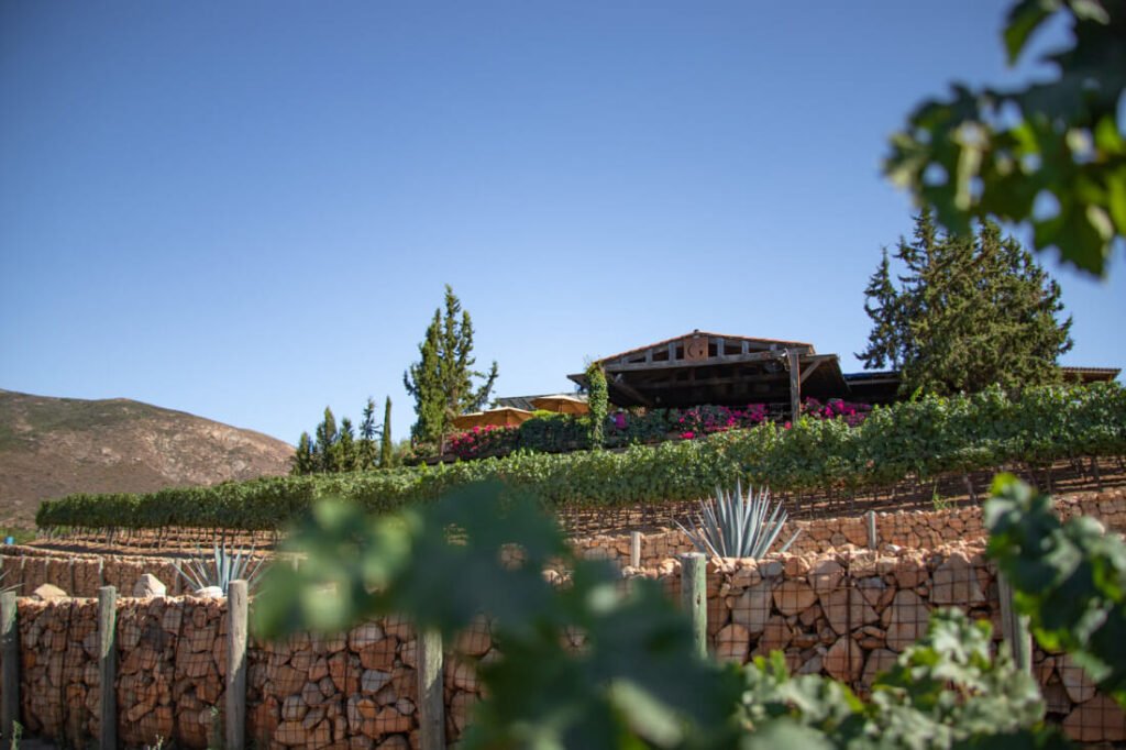 La Terraza in Guadalupe Valley