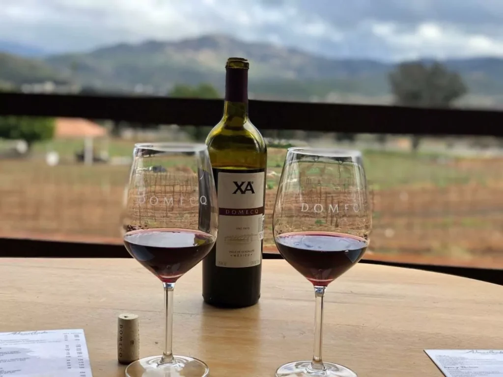 domec wine